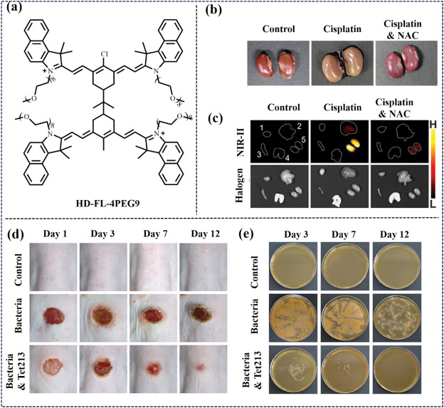 fig. 26