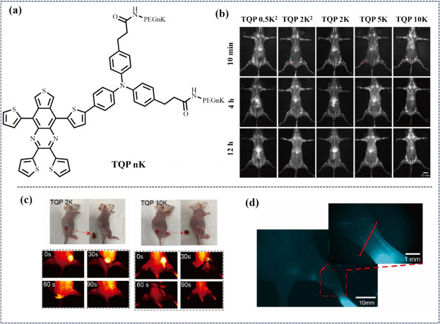 fig. 20