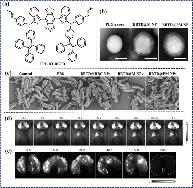 fig. 35
