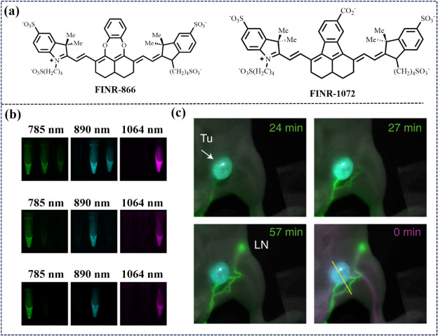 fig. 29