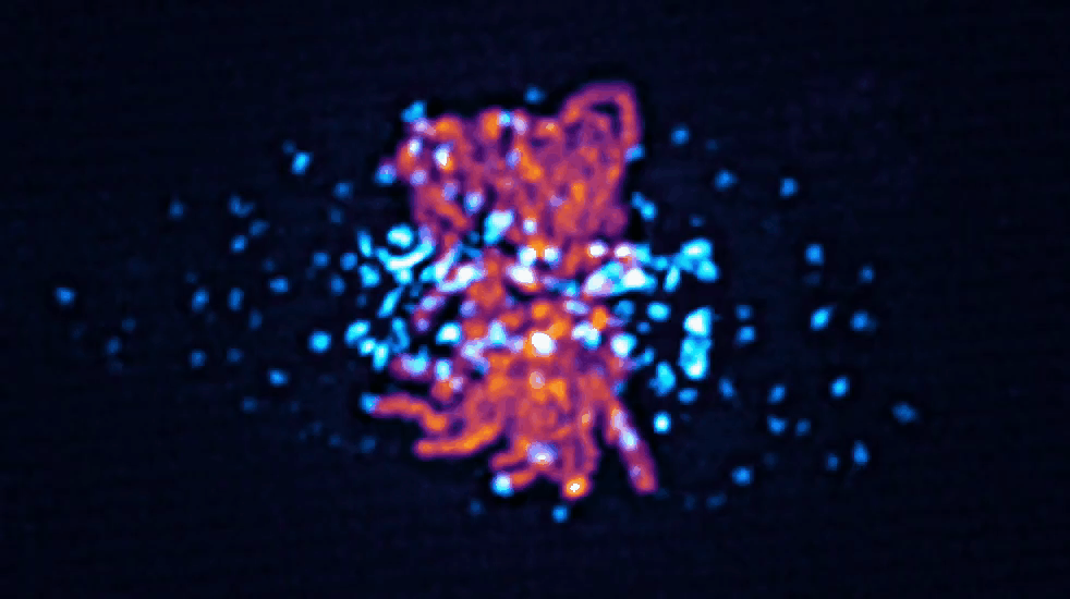 动画.gif