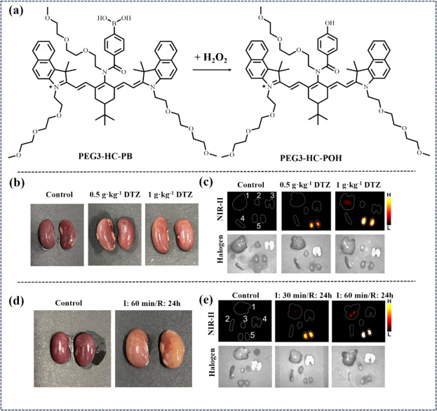 fig. 25